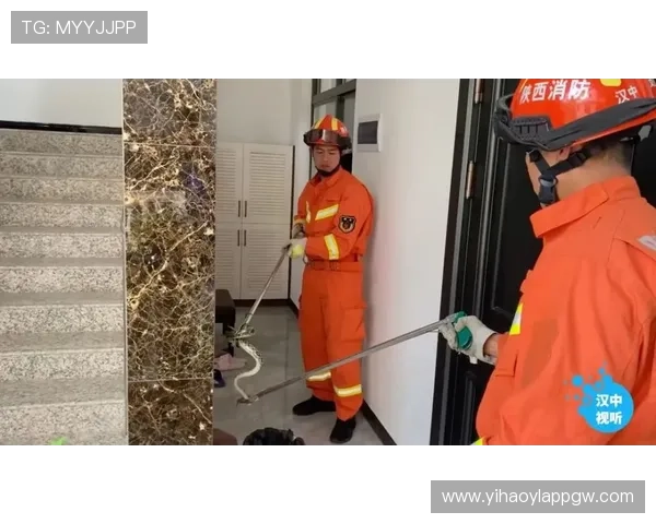 壹号娱乐官网入口登录：最新登录入口地址及安全保障措施介绍